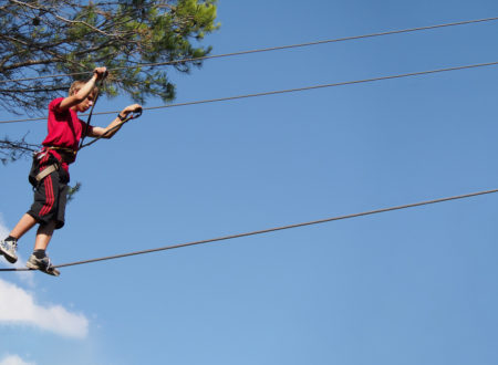 Parcours dans les arbres