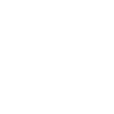 Grotte Chauvet 2 Ardèche